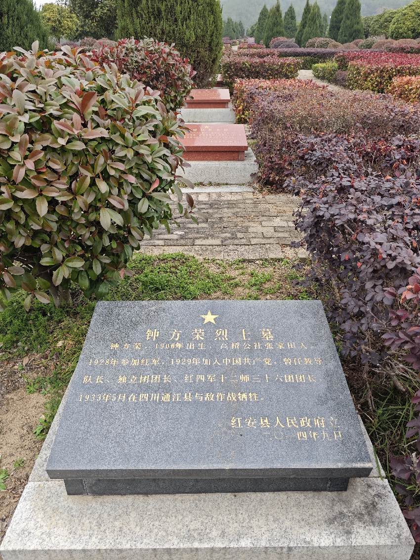 穿越千里山河的“回家”故事